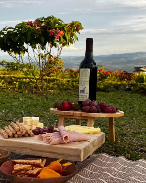 Picnic al aire libre en Mundo Yanashpa, con vino tinto, frutas, quesos y embutidos, rodeado de naturaleza y con vista a la selva de Tarapoto.